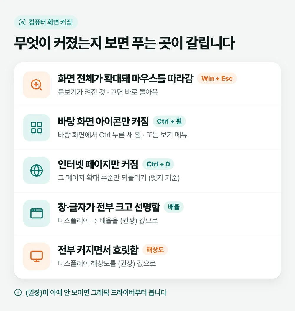 컴퓨터 화면 커짐을 다섯 갈래로 나눈 그림 — 돋보기는 Win+Esc, 아이콘은 Ctrl+휠, 인터넷 페이지는 Ctrl+0, 전부 크고 선명하면 배율, 흐릿하면 해상도
